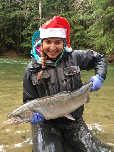 Look what Santa delivered! Ashley Lewis, owner at Quinault Sport Angling, releases a Christmas season steelhead. (Quinault Sport Angling)
