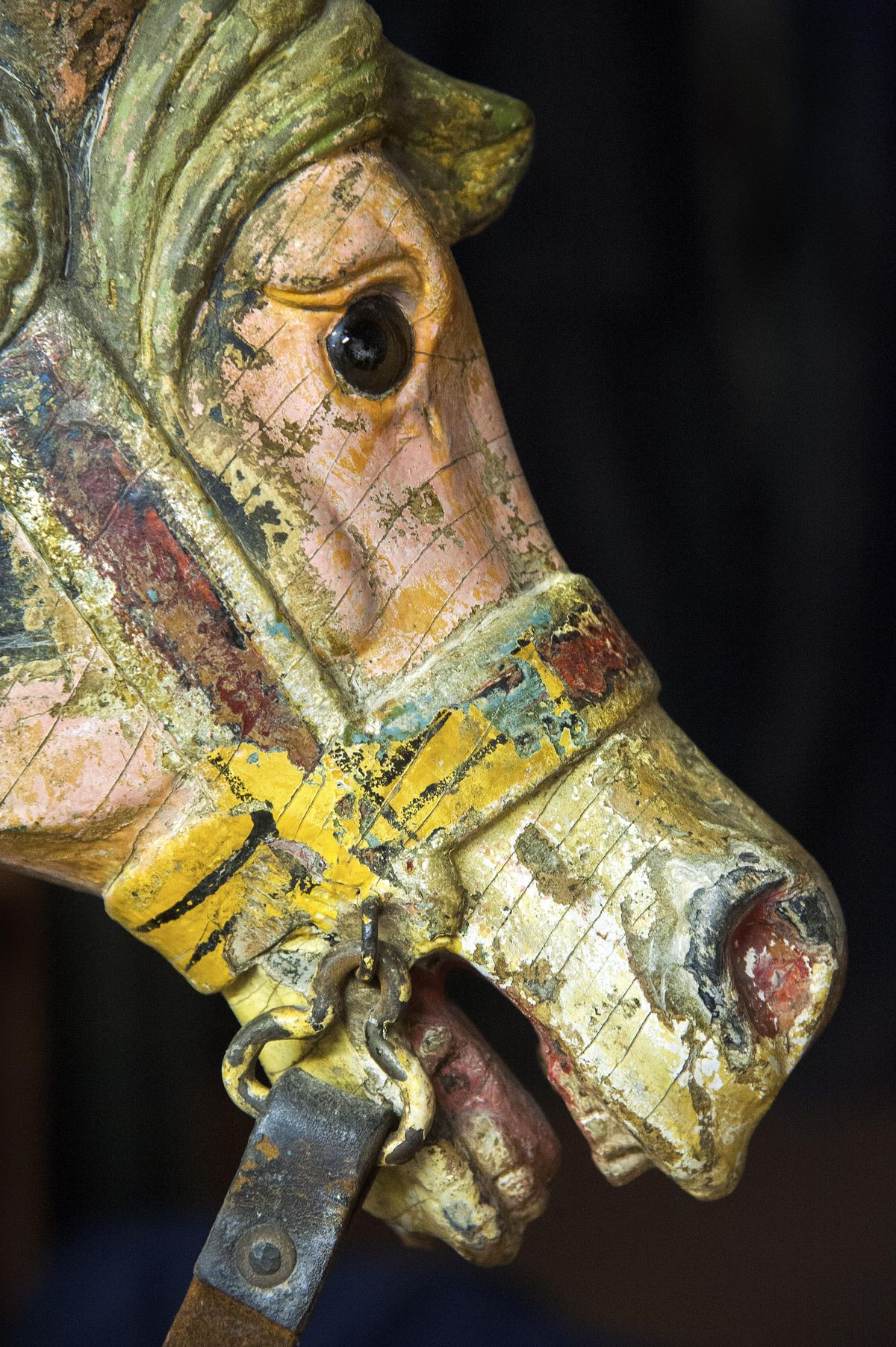 Years of wear and tear are evident on “Jack,” carved of poplar wood by Charles Looff in 1886 for a carousel on Coney Island. The horse has been donated to Spokane by a private estate. (Dan Pelle / The Spokesman-Review)