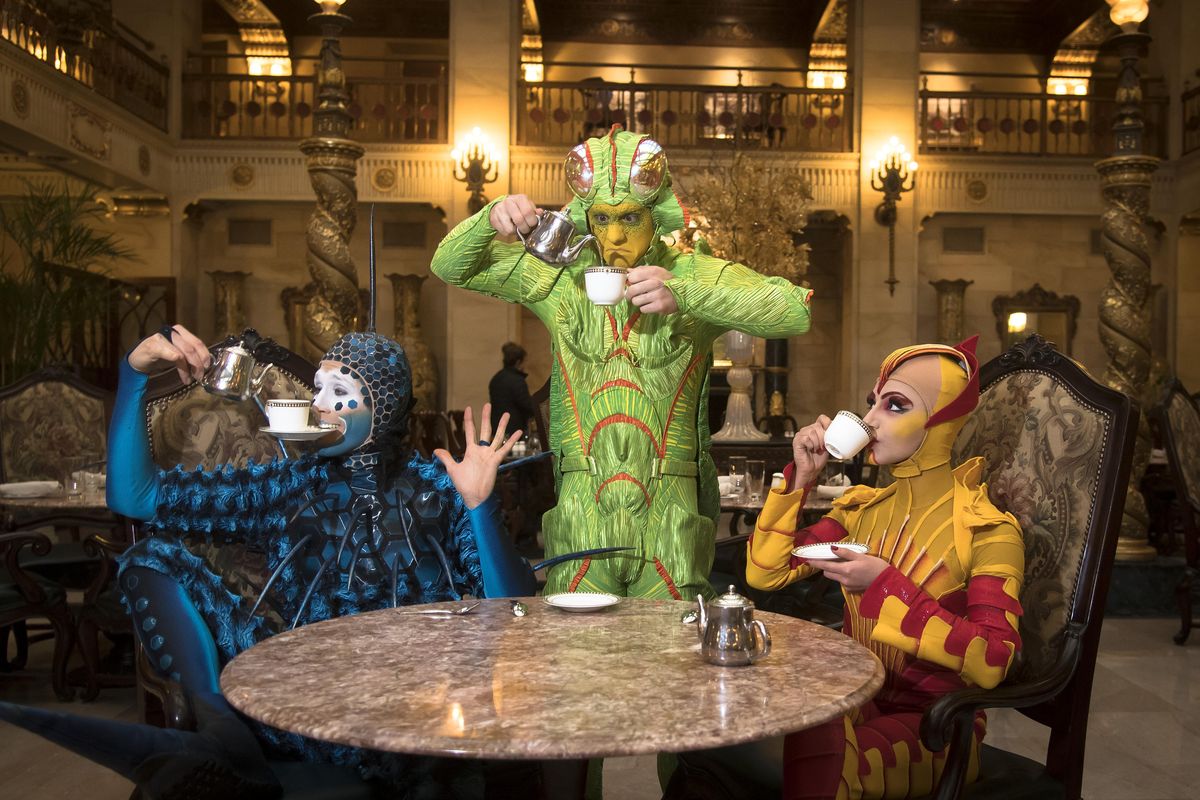 Performers with Cirque Du Soleil - OVO, left to right, Jan Dutler: The Foreigner - Fly, James Johnson: Cricket and Inna Bekmamadova: Flea have tea at the Davenport Hotel, Thursday, Feb. 16, 2017. (Colin Mulvany / The Spokesman-Review)