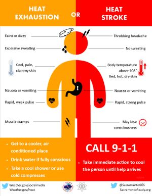 Graphic shows symptoms of heat stroke and heat exhaustion.