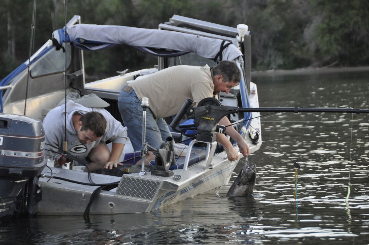 Salmon fishing opens in Okanogan Similkameen rivers The Spokesman-Review