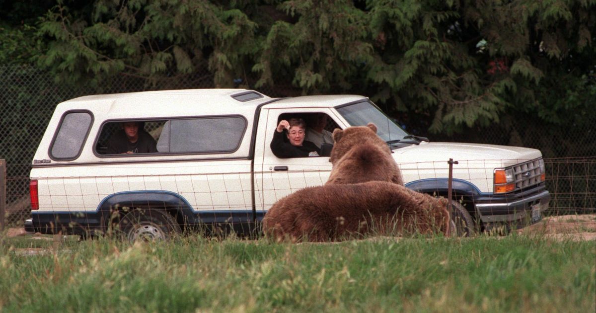 Olympic Game Farm sued, accused of neglect The SpokesmanReview