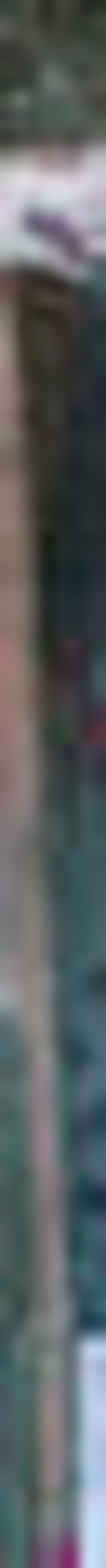 
Dog bites can be prevented by following a few basic safety steps. 
 (associated Press / The Spokesman-Review)