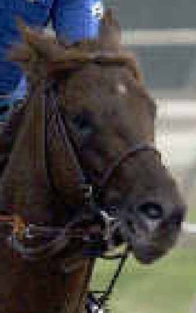 
Smarty Jones
 (The Spokesman-Review)