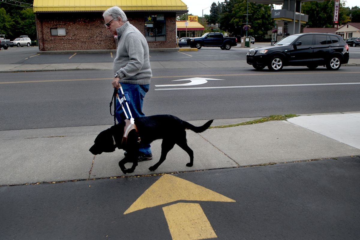 Carl Bessent walks with his guide dog Nerice through Coeur d’Alene on Sept. 14. Bessent is legally blind and says he is concerned about the growing problem of impostor or poorly trained service animals and the problems they create for legitimate service animals. (Kathy Plonka)