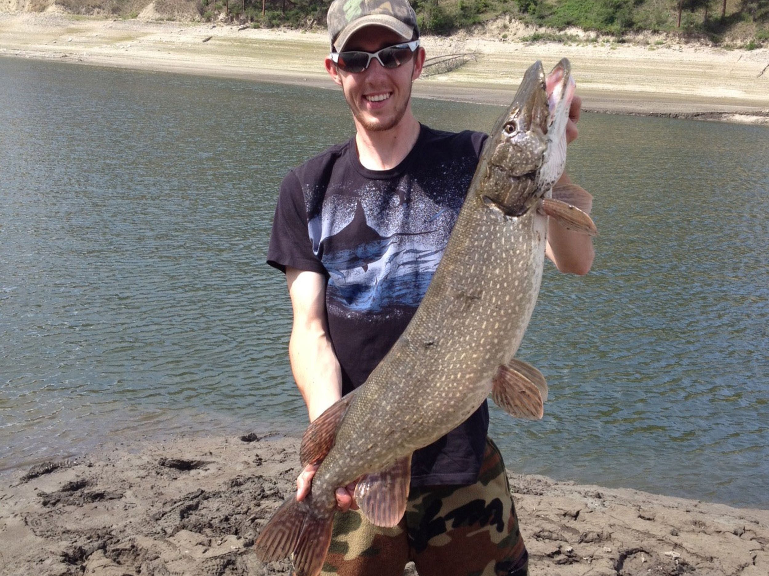 Fishing In The River Open Mouthed Large Pike In The Fishermans