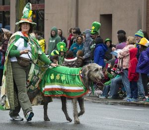 Karla Petermann, of Sandpoint, strolls with Quinn, her 2-year-old Irish wolfhound, on Main Avenue during the 2015 St. Patrick's Day Parade in Spokane. (Dan Pelle/SR file photo) 