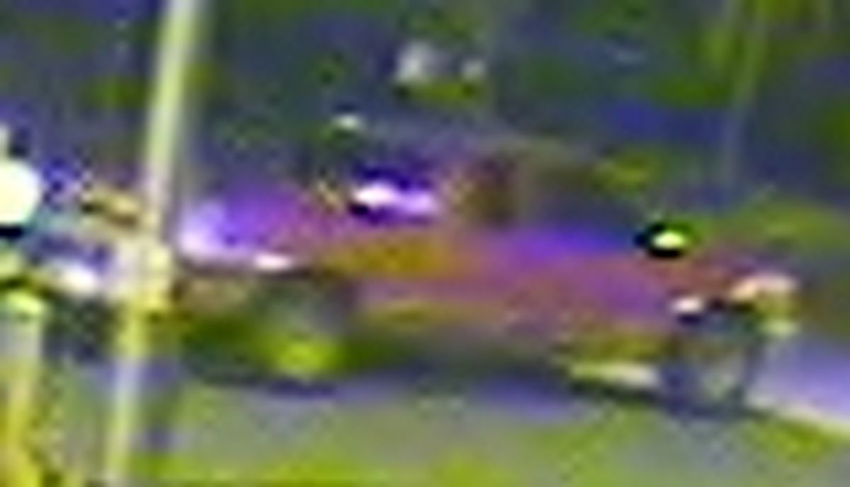 Spokane police are asking for help identifying this truck, which was photographed near where homicide victim Evon Moore