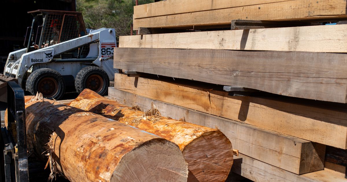 Canada weighs limiting lumber exports to solve US trade dispute, BC premier Says