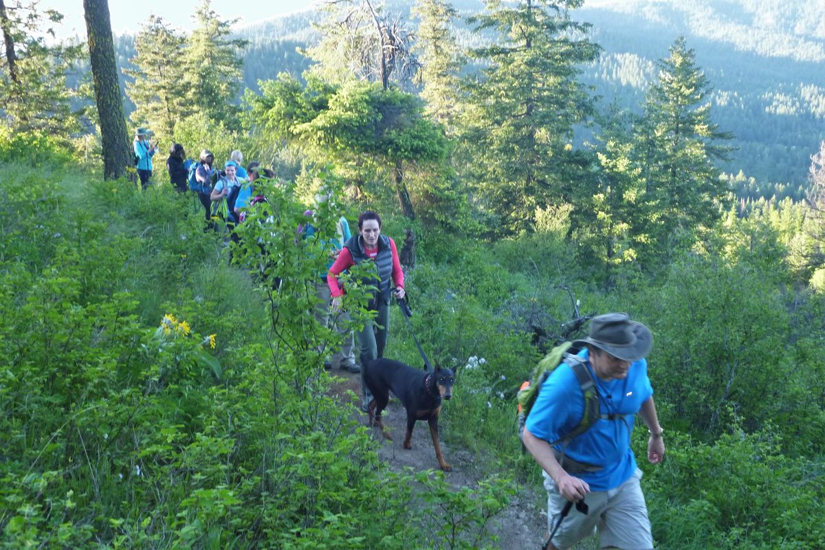 Hike a Rail Trail — Washington Trails Association