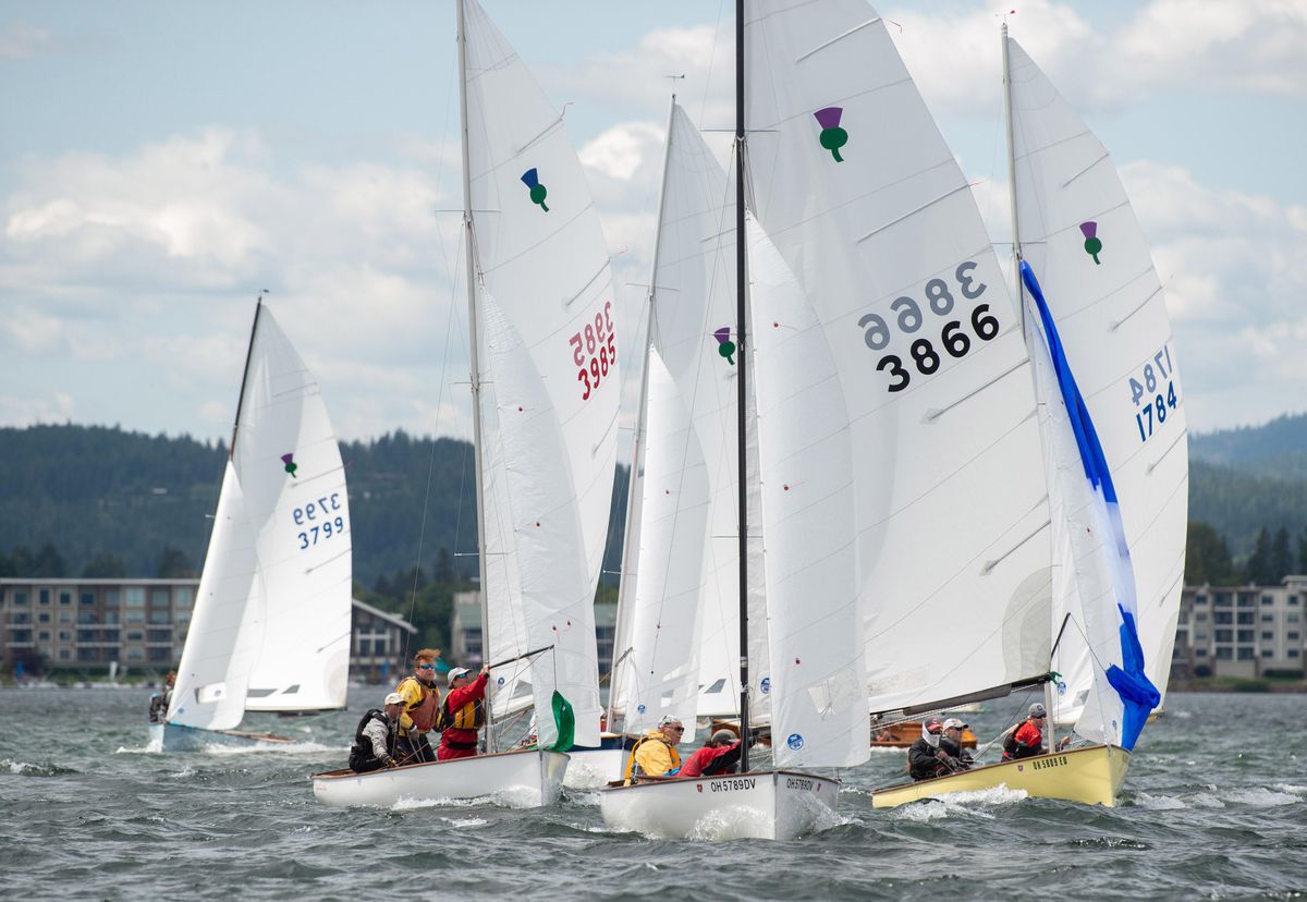 thistle sailboat club