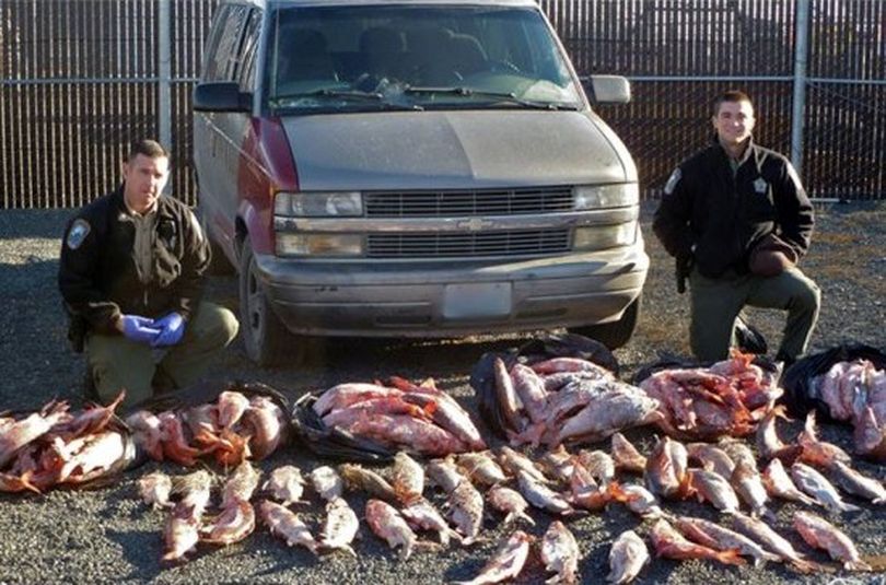 Washington Department of Fish and Wildlife police pose with whitefish they confiscated from an illegal netting operation at Banks Lake on Dec. 6, 2013. (Washington Fish and Wildlife Department)