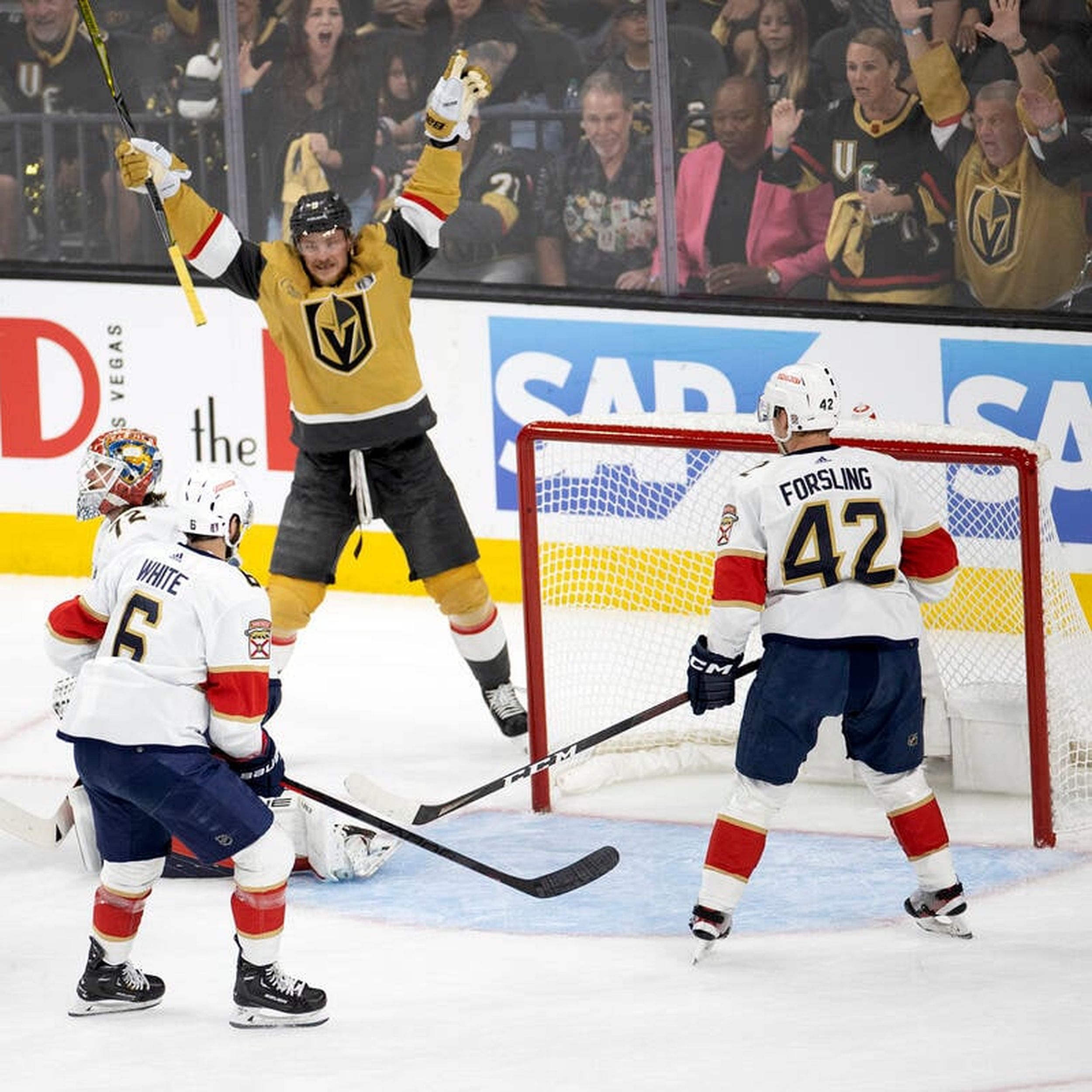 Photograph : Golden Knights vs Lightning 