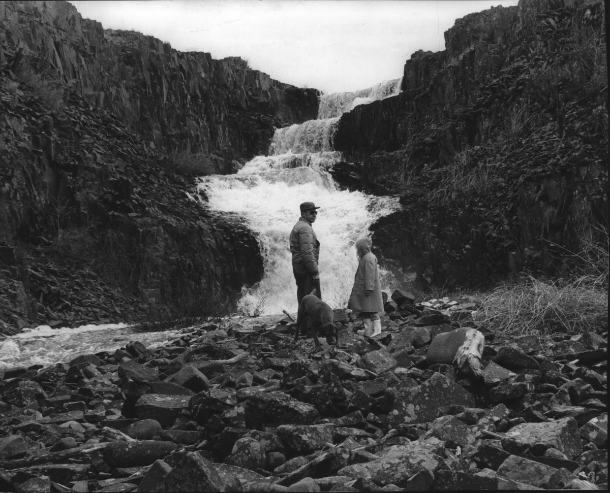 Water cascades over giant steps, creating the little known Hog Canyon Falls in southwest Spokane County in 1966. The falls, which are usually spectacular in March and early April, vanish after the spring run  (THE SPOKESMAN-REVIEW PHOTO ARCHIVE)