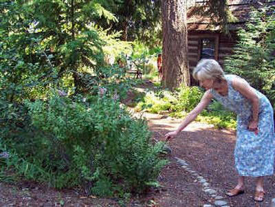 
Carol Jenkins, chairwoman of the conservation committee of the Kinnikinnick Chapter of Idaho Native Plant Society, tends to the native plants at the North Idaho Arboretum. 
 (Jesse Tinsley / The Spokesman-Review)