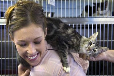 
Sara Garcia of Spokane gets acquainted Tuesday  with Dolly, who was rescued from a Bonner County, Idaho, shelter last week. 
 (Photos by Holly Pickett / The Spokesman-Review)