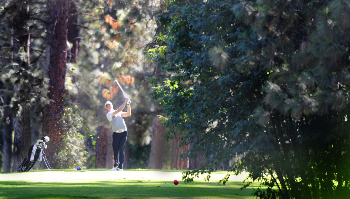 Rob Seibly tees off on the par 3 11th hole during Friday’s opening day of the Rosauers Open at Indian Canyon Golf Course. (CHRISTOPHER ANDERSON photos)
