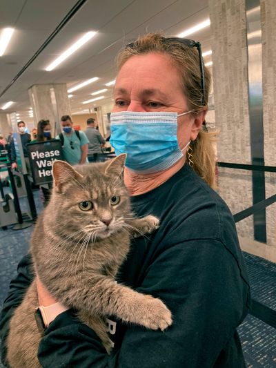 “Ashes” the cat, who had been lost by a Maine family since 2015, is held Wednesday by Janet Williams at Tampa International Airport. Denise Cilley, of Chesterville, Maine, says she was shocked to get a voicemail last week announcing her cat, Ashes, had been found nearly 1,500 miles away in Florida.  (Janet Williams)