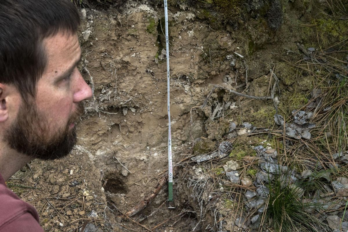 EWU geology professor Chad Pritchard talks about the layers of ash that exists at the Dishman Hills Natural Area on Thursday, May 11, 2018. Ash deposits from Mt. St. Helens and Mt. Mazama are clearly visible. (Kathy Plonka / The Spokesman-Review)