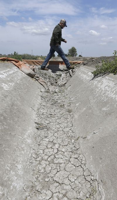 Gino Celli crosses a dry irrigation canal Monday in a field he farms near Stockton, Calif. (Associated Press)