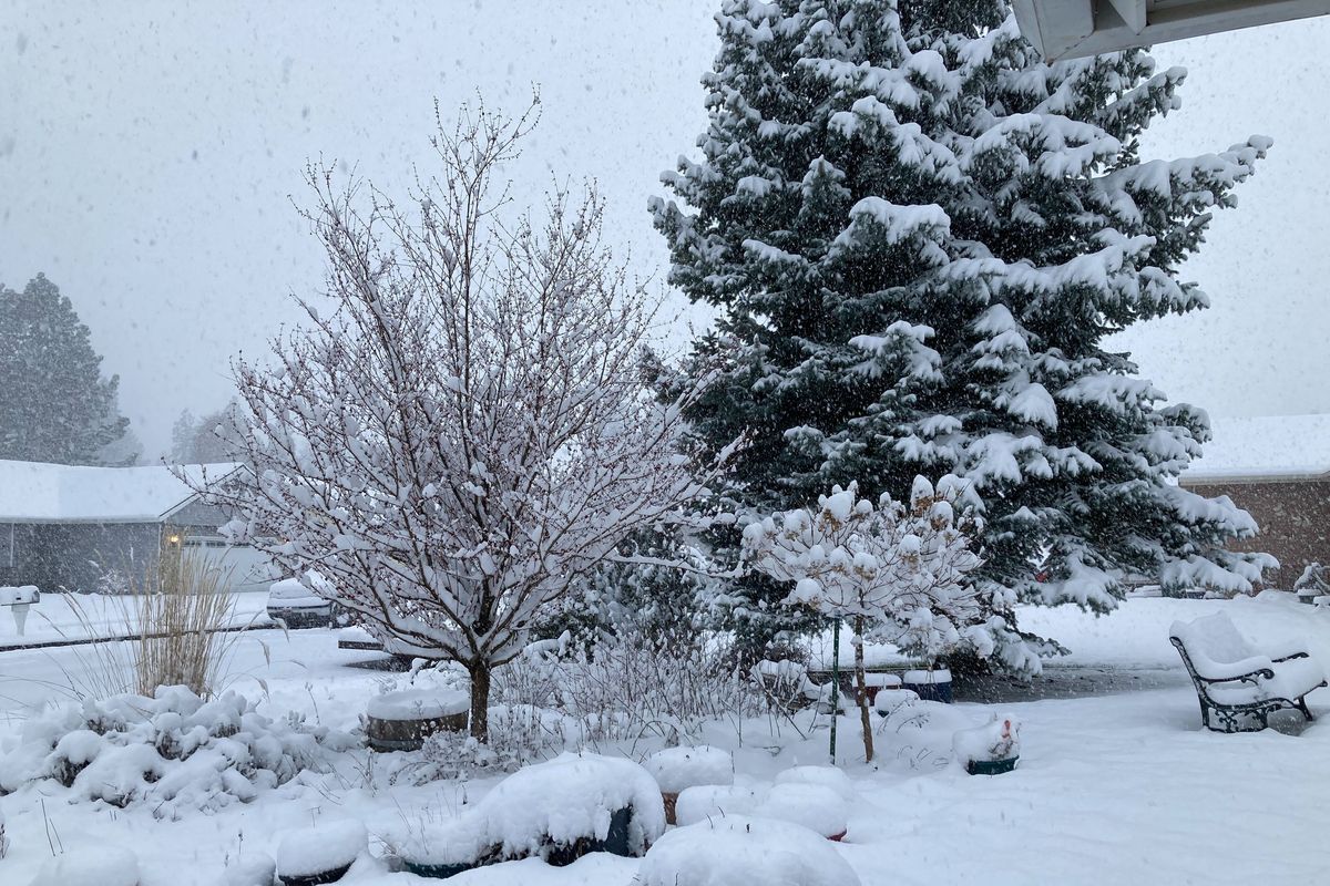 Snow falls Friday morning in Coeur d’Alene. The National Weather Service said heavy localized snowfall set records in some areas.  (Carolyn Lamberson/Spokesman-Review)