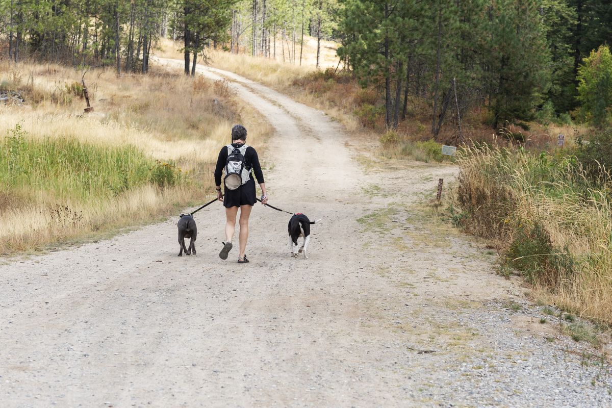 The Modern Female Hiker - Dog Friendly Hiking Blog