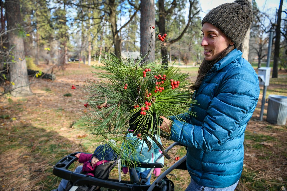 Kristina Pfleegor found the bright side of the windstorm that blew through the area on Monday evening. She combed through broken pine boughs Tuesday in Cannon Hill Park in hopes of placing them in vases and creating bouquets.  (DAN PELLE/THE SPOKESMAN-REVIEW)