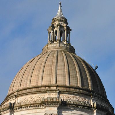 Maintenance worker checks the Capitol dome for leaks on Nov. 30, 2011. (Jim Camden)