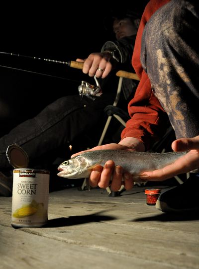 An angler lands a rainbow trout trout by lantern light shortly after midnights on April 27, 2013, off the Fishtrap Lake Resort dock. (Rich Landers)