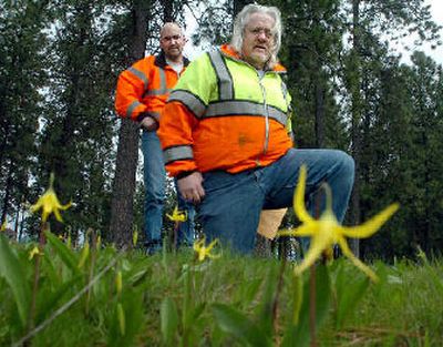 
Judd Reed, kneeling, and Keith Viebrock of the Idaho Transportation Department keep track of vegetation along roadsides and pullouts around North Idaho. They are looking at glacier lilies, also called snow lilies or dogtooth violets, in the Huetter rest area, which is maintained by the department.  
 (Jesse Tinsley / The Spokesman-Review)