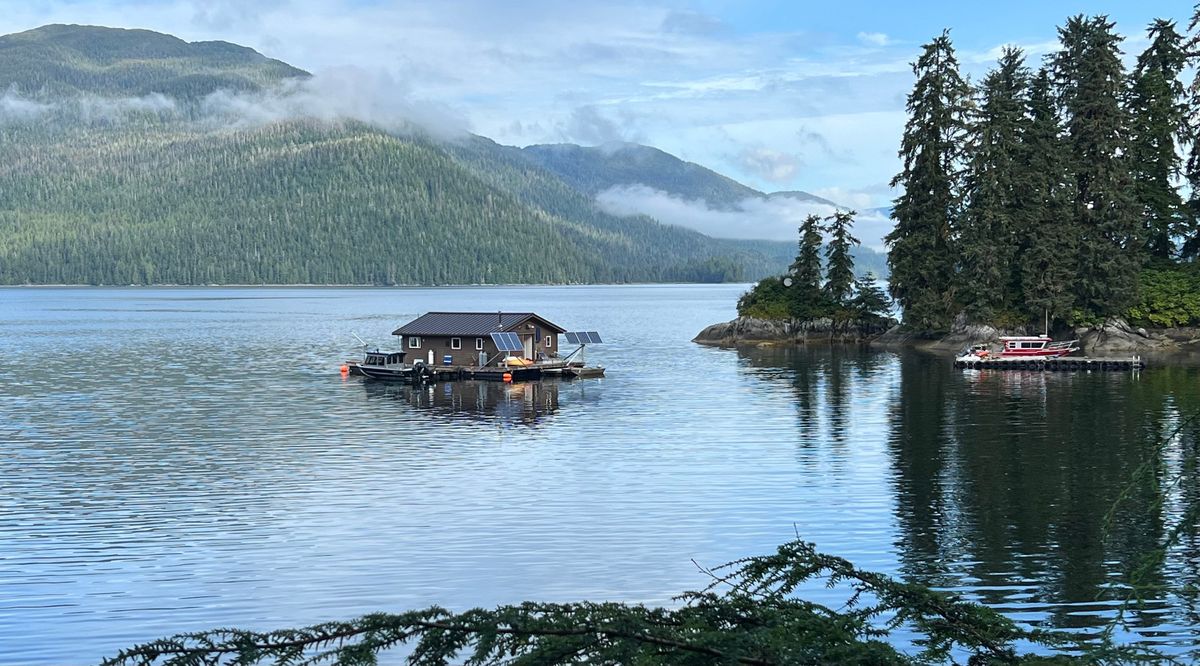 A bay of Alaska’s Inside Passage as seen from the Anan Wildlife Viewing Area in the 17 million acre Tongass National Forest, the nation’s largest national forest.  (DENNIS ANDERSON)