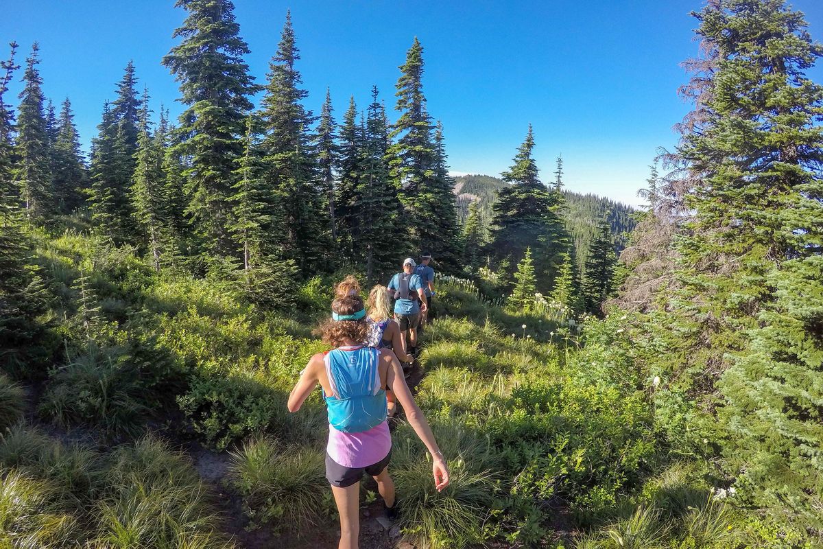 Katie Adams, Emily Erickson, Adam Kusler, and Vern Eastley run on Schweitzer Mountain during the summer of 2017. (Gwen LeTetour / Courtesy)