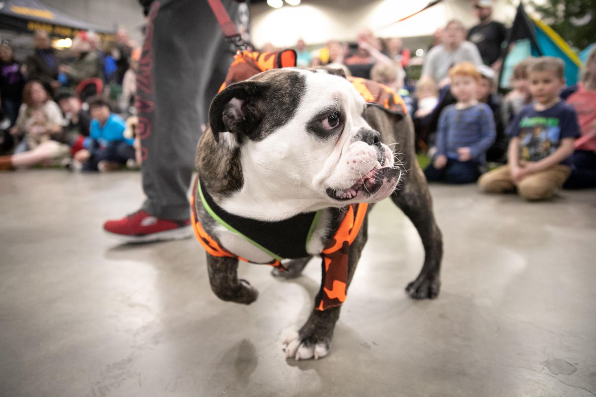 Dog outdoor fashion show (Feb. 23) Feb. 23, 2020 The SpokesmanReview