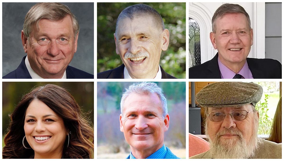 Clockwise from upper left, Rob Chase, Ted Cummings, Stephen Major, Ed Wood, Michael Schmidt and Brandi Peetz are running for the state legislative seat being vacated by Leonard Christian. 