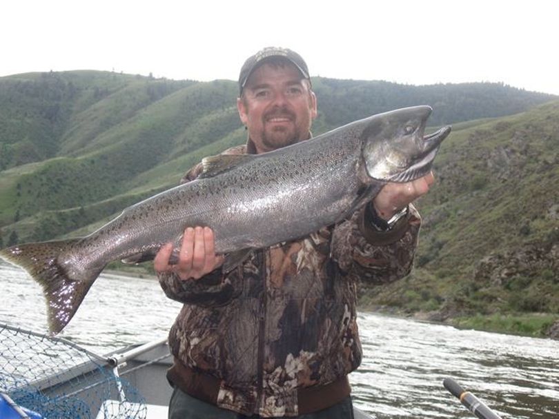 Salmon River spring chinook caught in May 2011. (Exodus Wilderness Adventures)