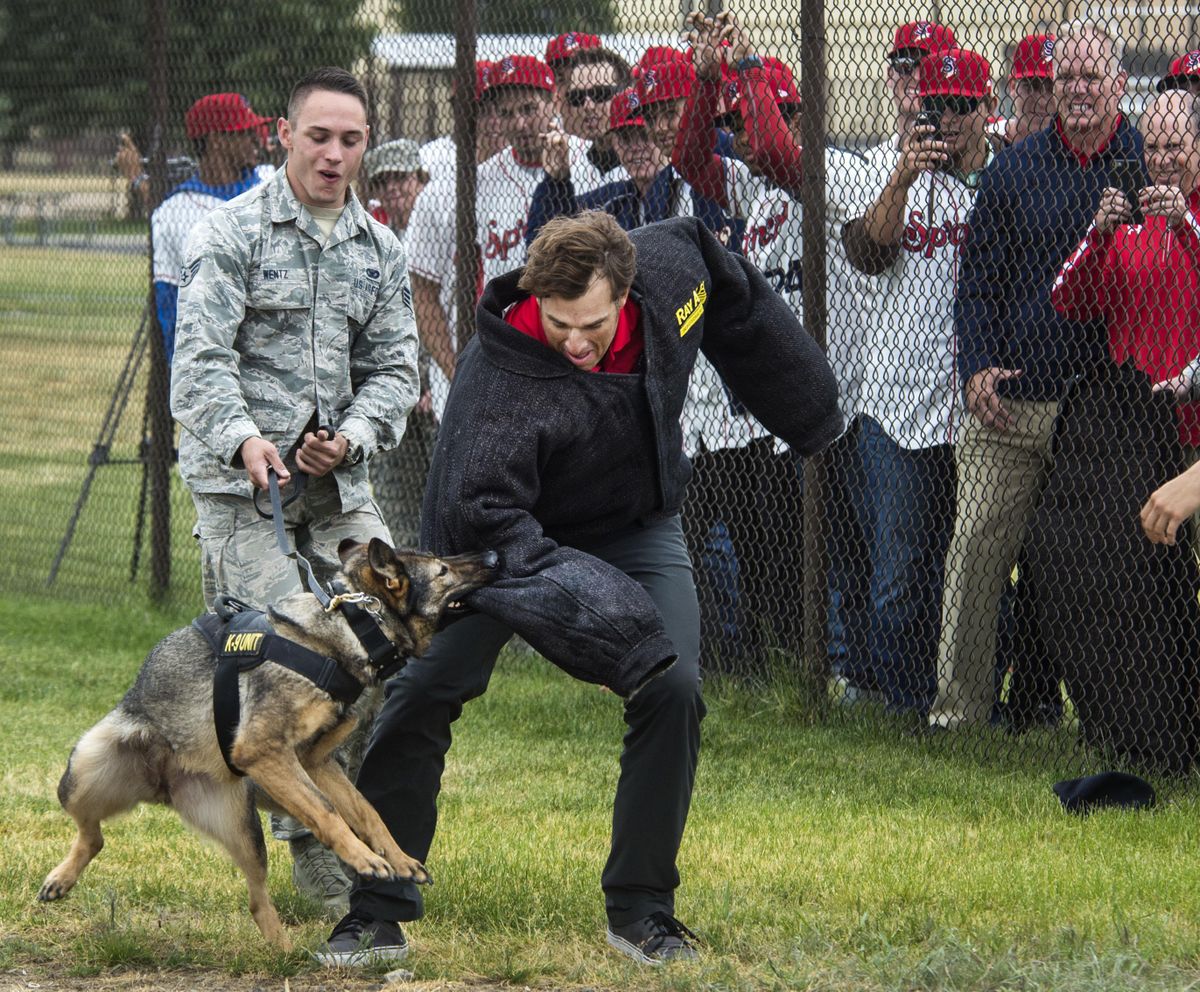 Spokane Indians manager Matt Hagen plays the decoy for explosive sniffing and security dog, Brenda, during a demonstration, June 13, 2017, at Fairchild Air Force Base. The baseball club, touring the facilities, saw a flight and boom simulator and a KC-135r Stratocaster. (Dan Pelle / The Spokesman-Review)