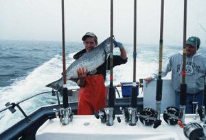 
Deck hand John Banasky begins cleaning the day's catch of king and coho salmon taken by eight anglers while fishing in the Pacific Ocean on a Westport charterboat captained by Paul Mirante. 
 (File / The Spokesman-Review)