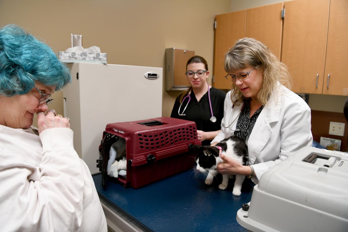 Pattie Crowder, left watches as Dr. Raelynn Farnsworth, right, exaamines her cat, Baby, and veterinary student Sarah Frandsen, center, waits to give the cat an immunization Friday, Nov. 9, 2018 at the WSU Specialty Veterinary Clinic in Spokane. Veterinary students and nursing students gave free vaccinations to both people and pets Friday at the clinic, which is usually closed on Fridays. (Jesse Tinsley / The Spokesman-Review)