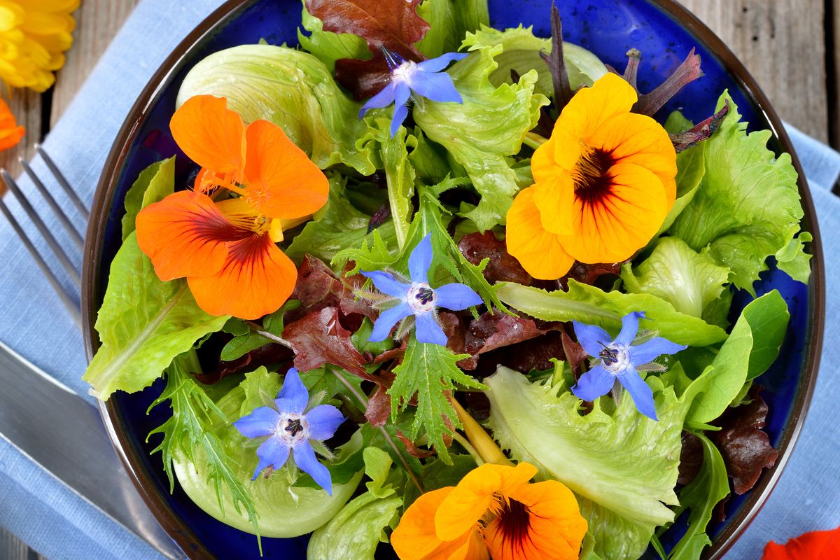 8 edible flowers that will dress up your garden - and your plate