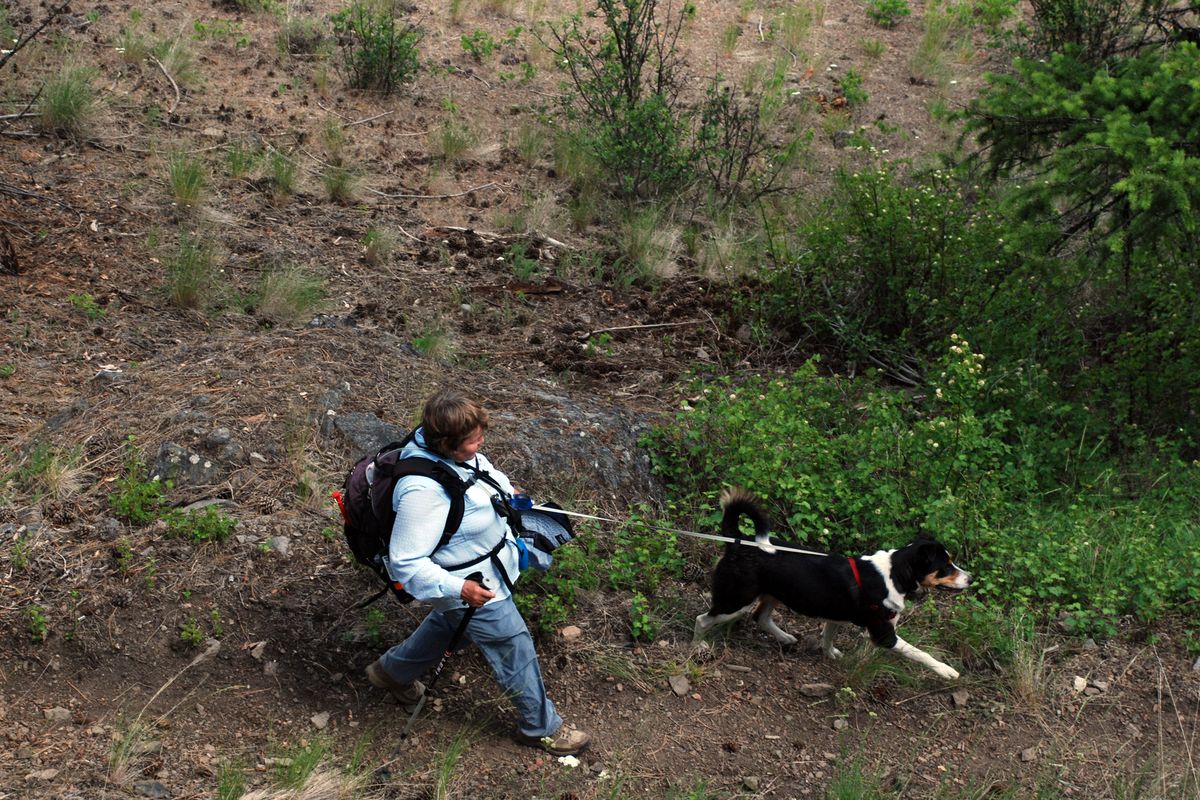 Idaho pet advocates say allowing traps to be set up to 5 feet from the center of roads or trails is a threat even to pets on leash. (Rich Landers)