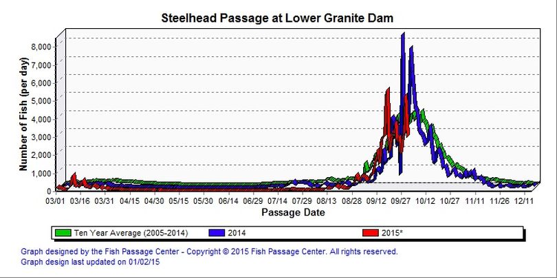 Steelhead counts at Lower Granite Dam. (Fish Passage Center)