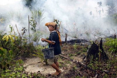 
A villager walks Saturday past a smoldering field lighted for land-clearing in Minas, Riau province, Sumatra, Indonesia. Palm oil farmers on Indonesia's Sumatra island say they've been clearing land by burning tall grass, shrubs and trees for years.
 (Associated Press / The Spokesman-Review)
