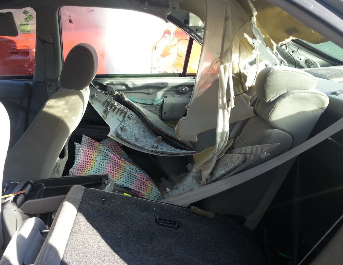 A black bear that had entered a Toyota Camry near Red Lodge, Montana, broke through the vehicle’s windshield. The back upholstery was torn to shreds.
 (Greg Creasy)