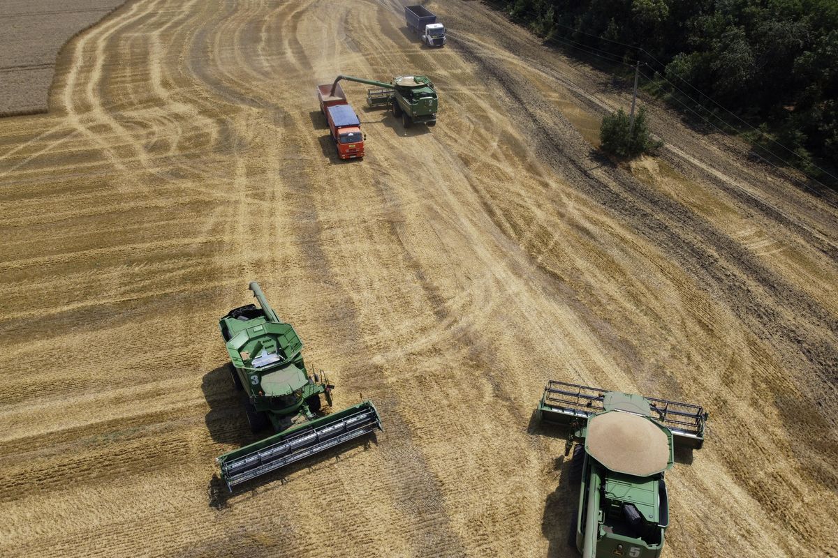 FILE - Farmers harvest with their combines in a wheat field near the village Tbilisskaya, Russia, July 21, 2021. The Russian tanks and missiles besieging Ukraine also are threatening the food supply and livelihoods of people in Europe, Africa and Asia who rely on the vast, fertile farmlands known as the “breadbasket of the world.” Russia and Ukraine combine for about a third of the world’s wheat and barley exports and provide large amounts of corn and cooking oils. (Vitaly Timkiv)