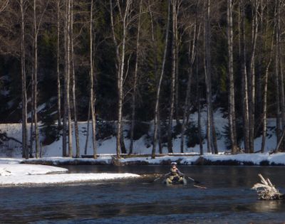 A fly fisherman oars his pontoon down the North Fork Coeur d’Alene River searching for cutthroat trout in January. (Rich Landers)