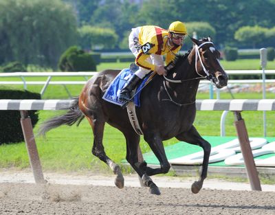 Rachel Alexandra will race in the Haskell Inivitational on Aug. 2. (Associated Press / The Spokesman-Review)
