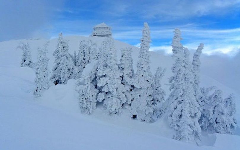 Ice shrouded everything on top of Star Peak northeast of Lake Pend Oreille, Idaho, when a Friends of the Scotchman Peaks Wilderness arrived on a snowshoeing day trip Saturday, Jan. 22, 2011. (Andrew Kraus)