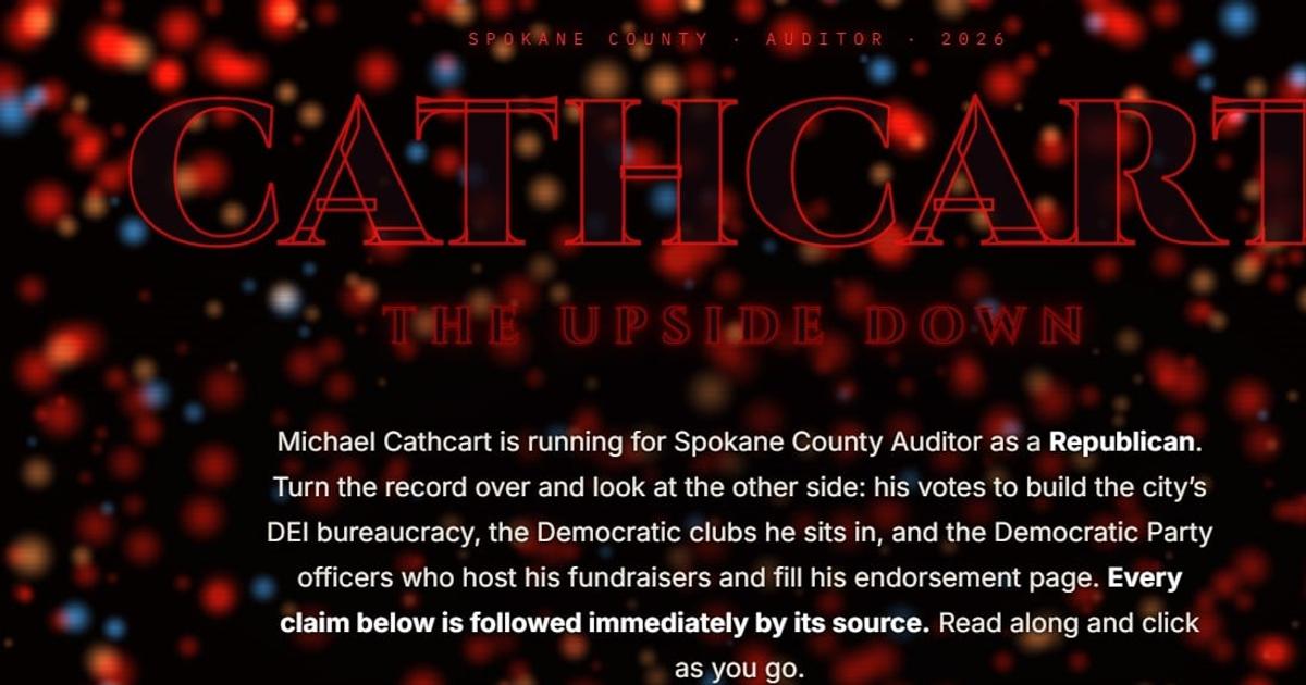Yakima’s mayor attempts to influence Spokane County auditor race with ‘Stranger Things’ attack ad