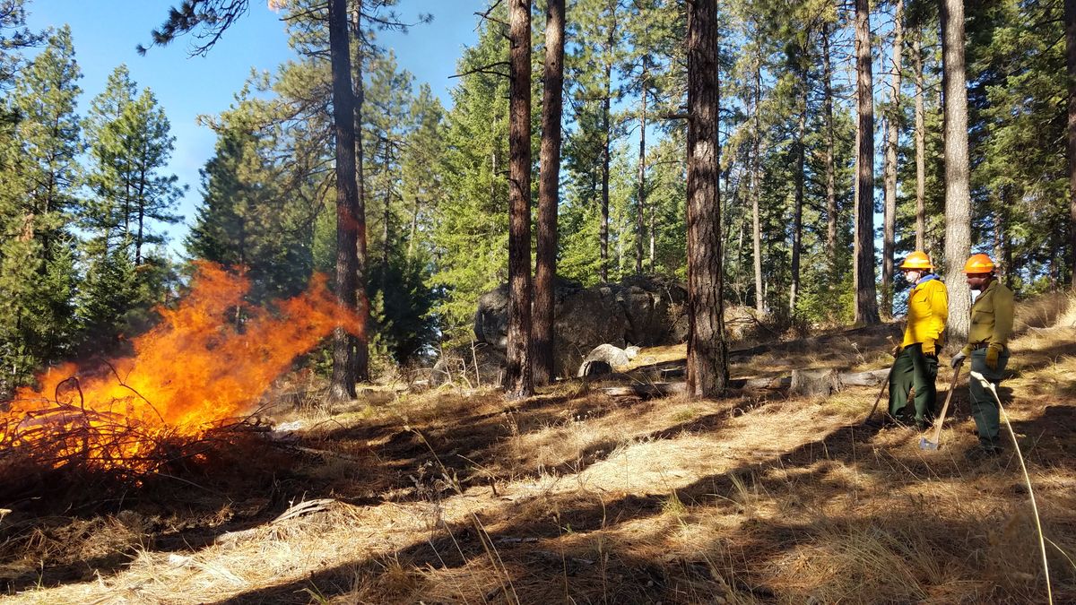 University of Idaho students with FOR 427, the Prescribed Burning Lab, burn a pile as part of their field exercise.  (Courtesy of Heather Heward)