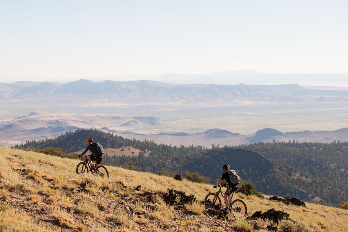 The Fremont National Recreation Trail makes up a large chunk of the Oregon Timber Trail. (Leslie Kehmeier / Courtesy)